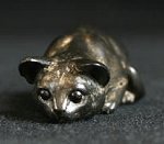 Ebony Cat